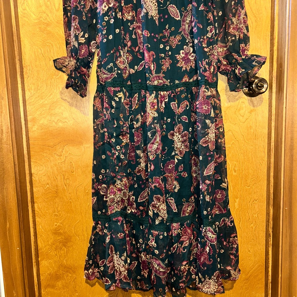 Band of the Free Run the World Pine Paisley Empire Waist Midi Dress - Size XS - Picture 7 of 13